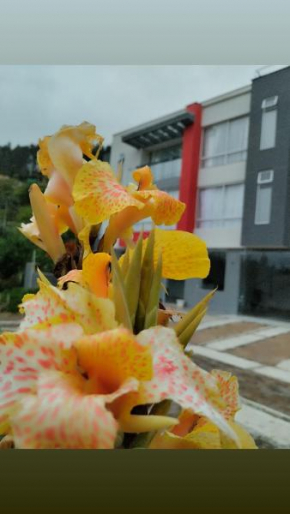 Refugio Flores de María